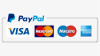 Marchio di accettazione Paypal